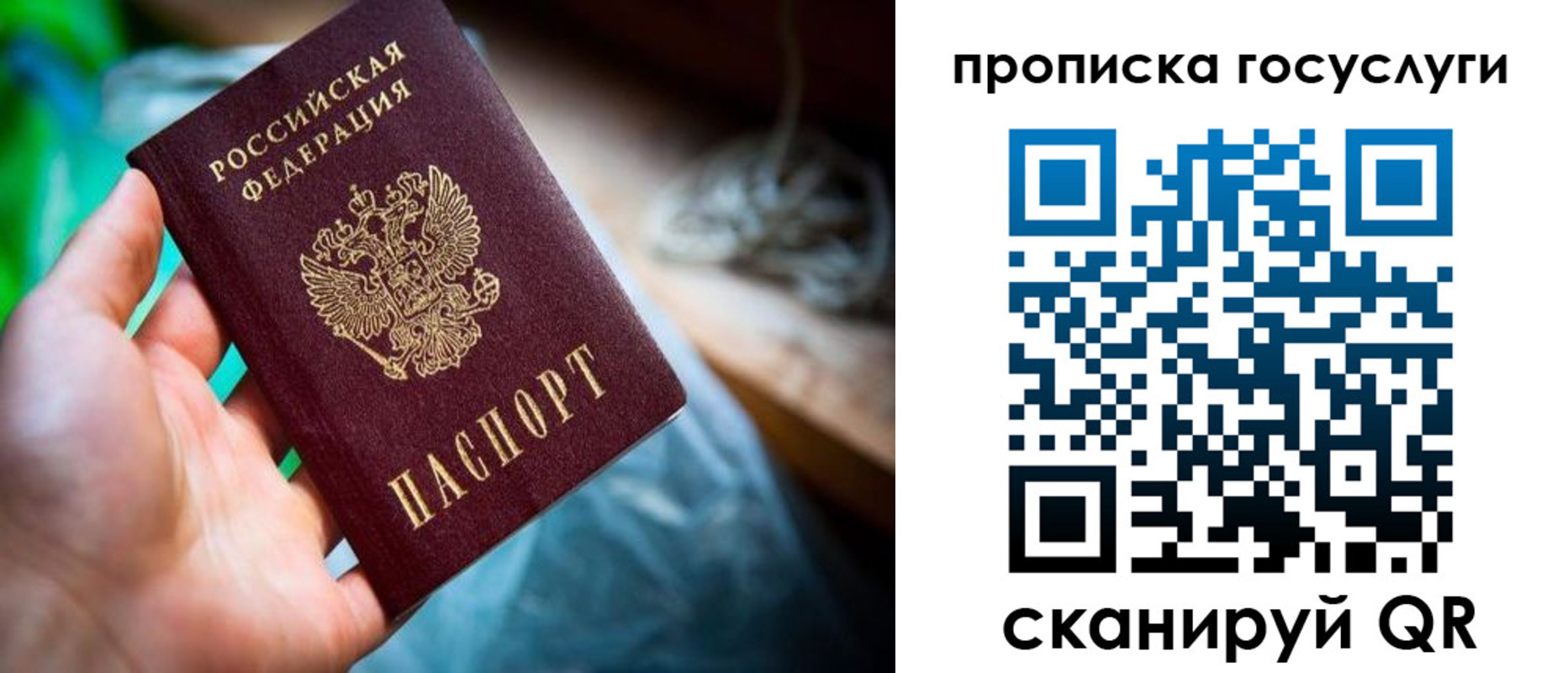 прописка ребенка в Новочеркасске