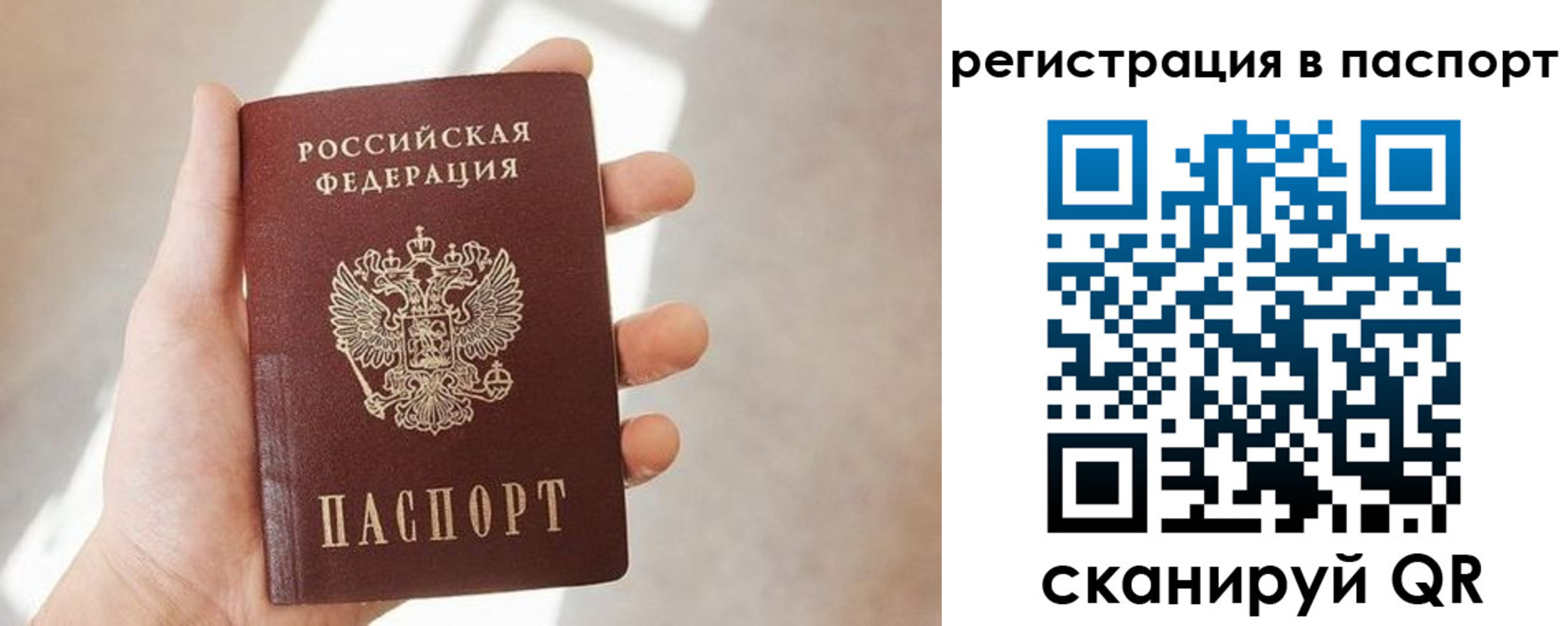 прописка в квартире в Новочеркасске